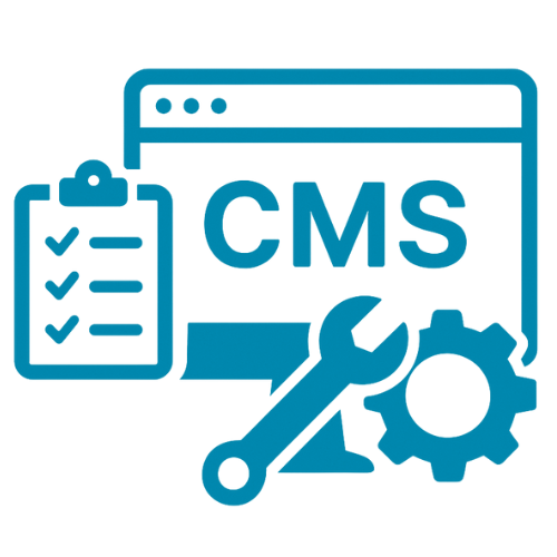 CMS Platform Maintenance & Support